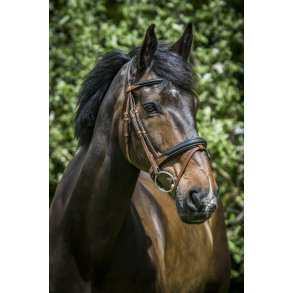 ByWeber Trense i Sort/Brun med grib tjler 