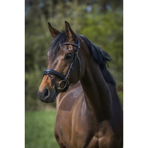 Trense med Rose Guld Krystaller fra ByWeber -  