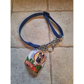 Hundehalsbnd med kde til lille hund fra Rixys