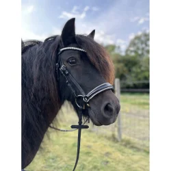 Trense fra By Weber med klare krystaller - Dolly