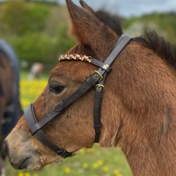 ByWeber fl show grime "Luca"