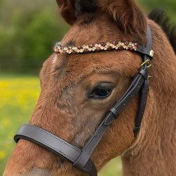 ByWeber fl show grime "Luca"