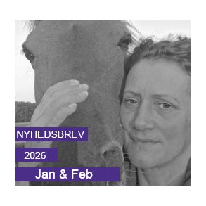 Nyhedsbrev - Januar & Februar 2026