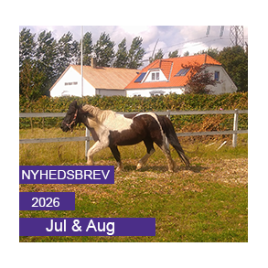 Nyhedsbrev - Juli & August 2026
