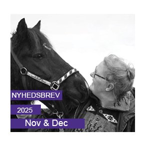 Nyhedsbrev - November & December 2025
