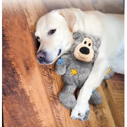Kong wild knots bamse