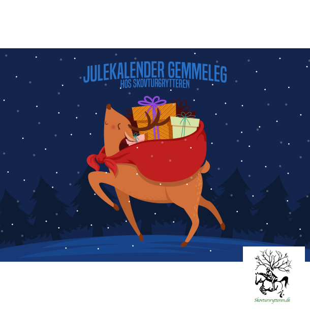 Adventskalender Skattejagt