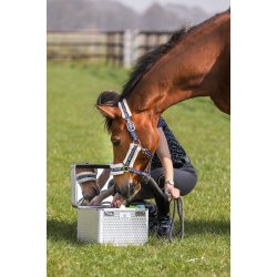 Striglekasse eller Striglebox fra IR "Shiny"