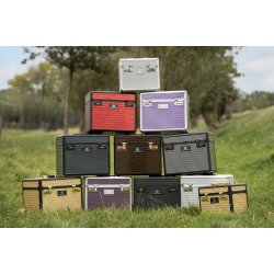 Striglekasse eller Striglebox fra IR "Shiny Classic"