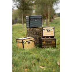 Striglekasse eller Striglebox fra IR "Shiny Classic"