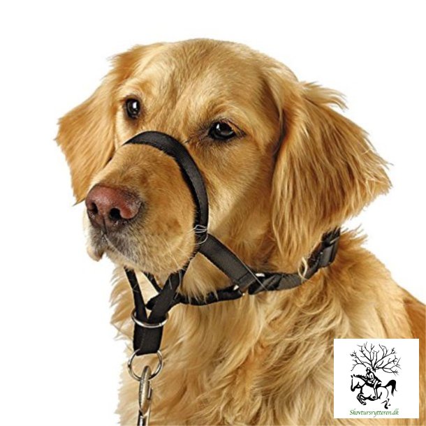 Anti trk sele til din hund 