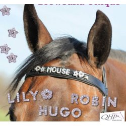  Bogstaver og pynte mrker til pandebnd 2134