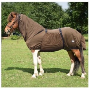 Eksemdkken til islnder fra  QHP  