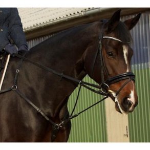 Fortj i sort eller brun kvalitets lder fra ByWeber  