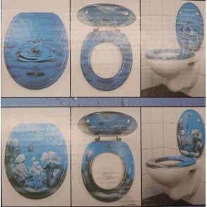 Toiletsde passer til de fleste gense toiletter - Drbe eller hav med fisk