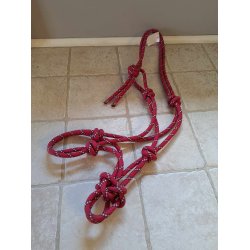 Rebgrime i hindbr eller fuchsia