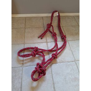 Rebgrime i hindbr eller fuchsia