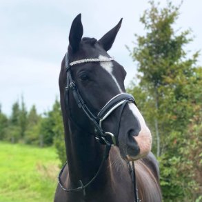 Trense med tilbagetrk fra ByWeber  