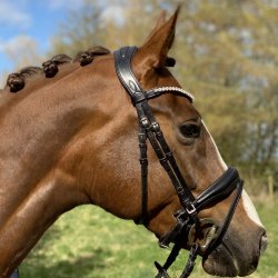 ByWeber Trense  "Madison" brun eller sort