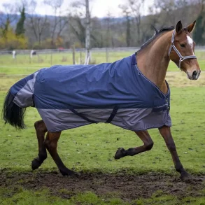 Tyrex regndkken fra Equitheme 0 gr.