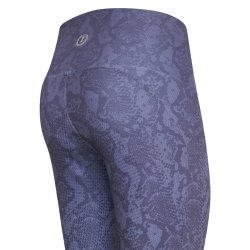 Ridetights med elastik i taljen i smart design fra Imperial Riding "Snake"