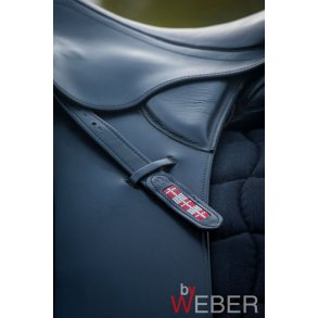  Stigremme fra ByWeber med Dannebrogsflag 