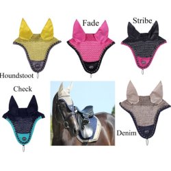 Spring Hut "Florida"