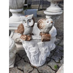 Fugl til urtepotte ude