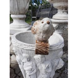 Fugl til urtepotte ude