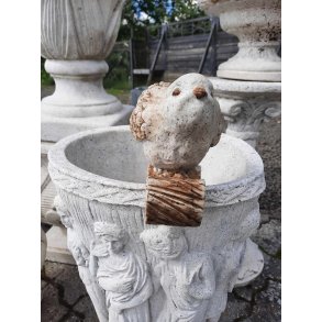 Fugl til urtepotte ude