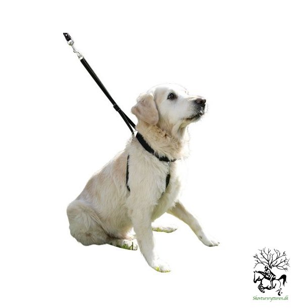 Hunde sele, G pnt sele og trk ikke 