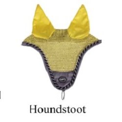 Spring Hut "Florida"