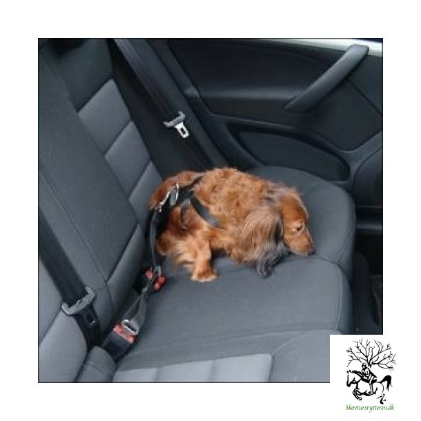 Hunde sikkerhedssele til bilen 
