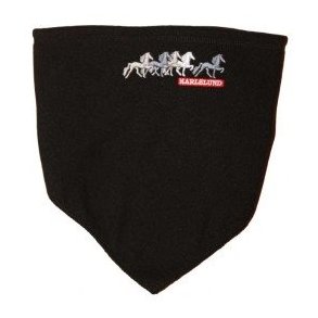 Karlslund - Halsvarmer.