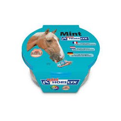 Sliksten, Horslyx  650 g - flere smagsvarianter