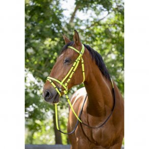  Trense fra Norton i neon grn