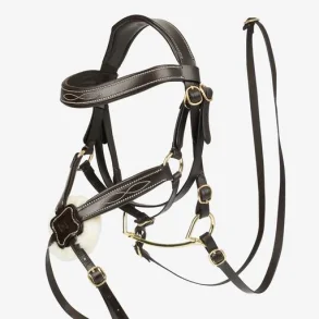 Mexicansk trense til kphest fra Lemieux