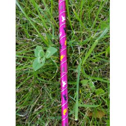 Waldhausen brne pisk med gummi svirp.