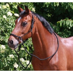  Rebgrime med tjler / Bidls trense med tjler fra Waldhausen 