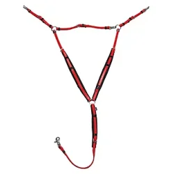 Fortj deluxe fra Zilco str. Araber