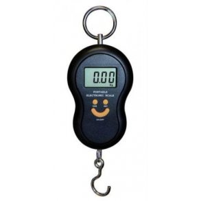  Hvgt digital fra Ryom