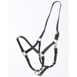 Grime til distance deluxe fra Zilco str. araber