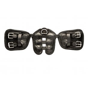 Scharf freedom gjord - dressur