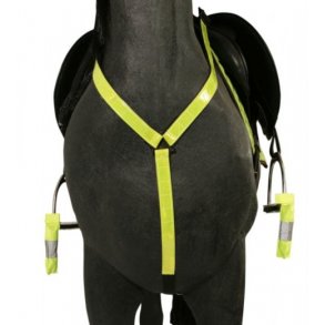 Bringe sele i Reflex