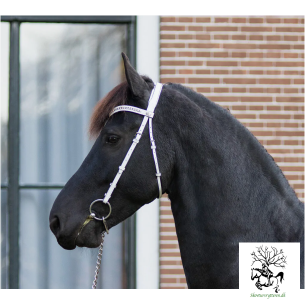 Trense til show "Luxe" i sort strrelse full fra QHP