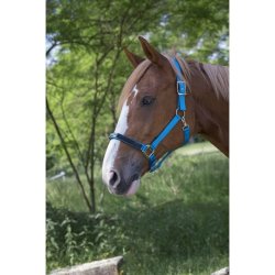 Grime med krystaller p nsebndet