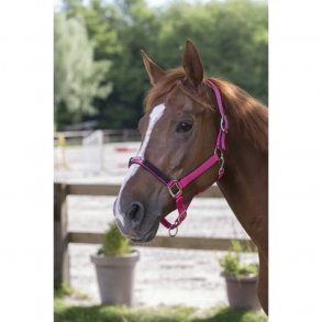 Grime med krystaller p nsebndet