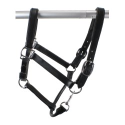 Grime i lder fra  Mink Horse