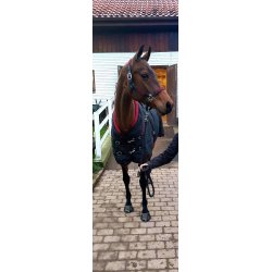 Stalddkken i Luksus kvalitet 200 g med fleece krave