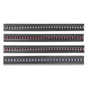 Waldhausen Tjler med similisten i web materiale 